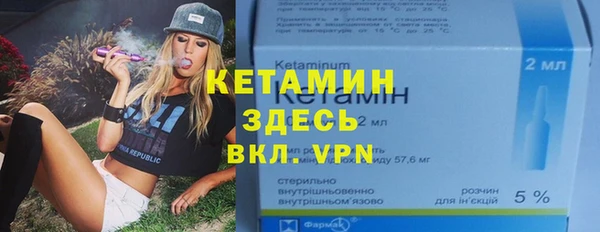 прущие грибы Аркадак