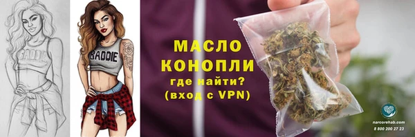 прущие грибы Аркадак