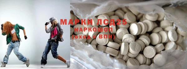 прущие грибы Аркадак
