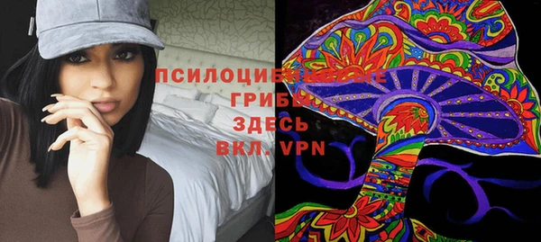 прущие грибы Аркадак