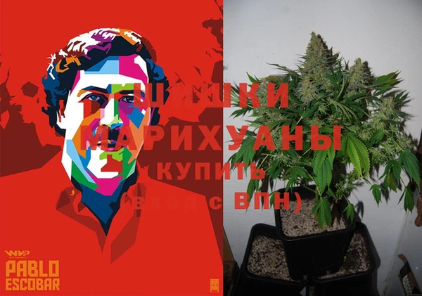 прущие грибы Аркадак