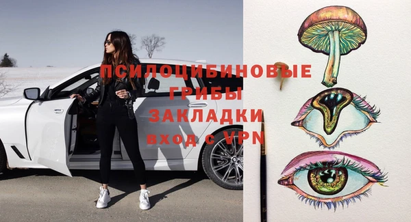прущие грибы Аркадак