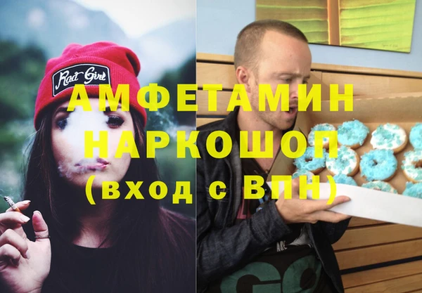 прущие грибы Аркадак