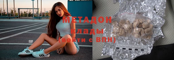 прущие грибы Аркадак