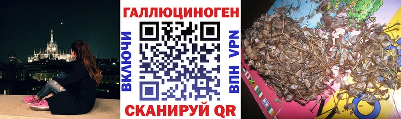 Псилоцибиновые грибы Magic Shrooms  Осинники 
